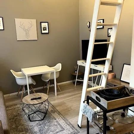 Appartement Schone Altbauwohnung Im Zentrum Cologne